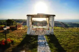 ec996vlnpx9juw7tjciy